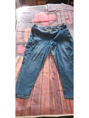 Terra & Sky Straight Leg Jeans XL 16/18 Blue Classic